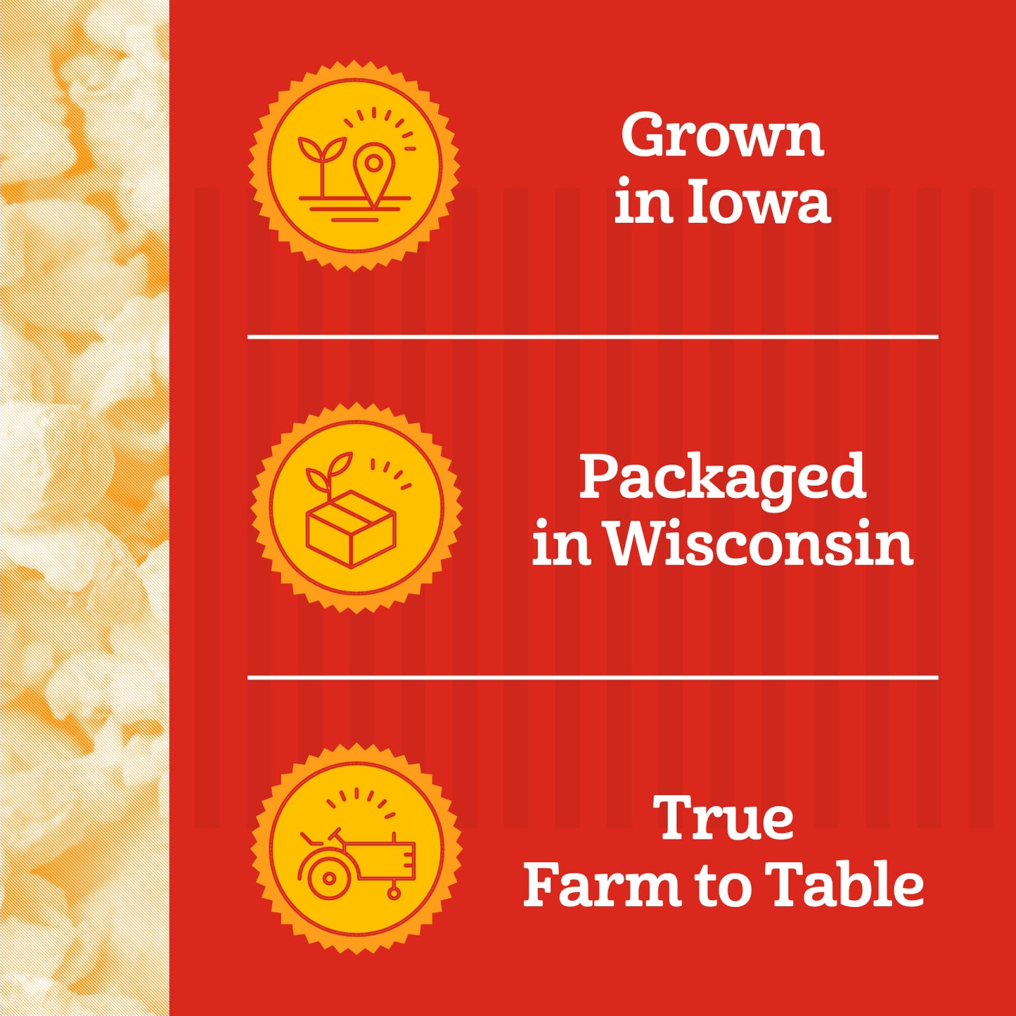 Classic Popping Corn
