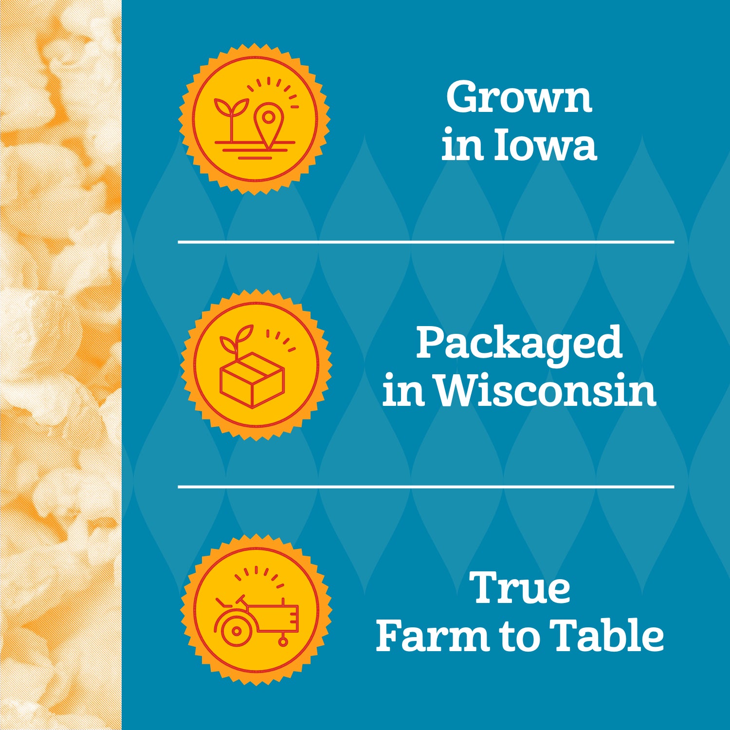 Franklin's Gourmet Popcorn All-in-One Packs - 10 Pack Of 2oz Popcorn Bags With Oil & Salt